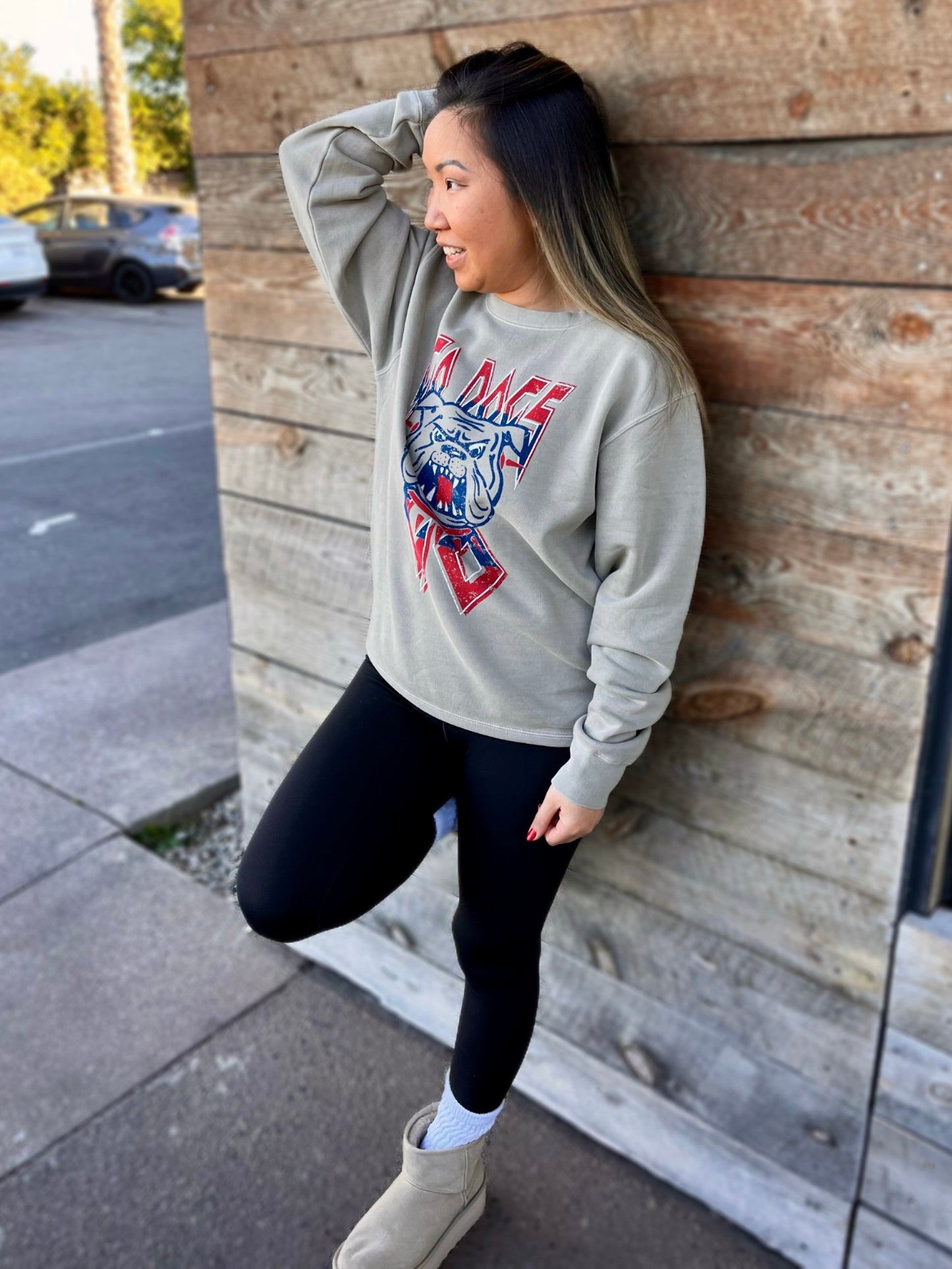 Go Dogs Go Washed Pullover