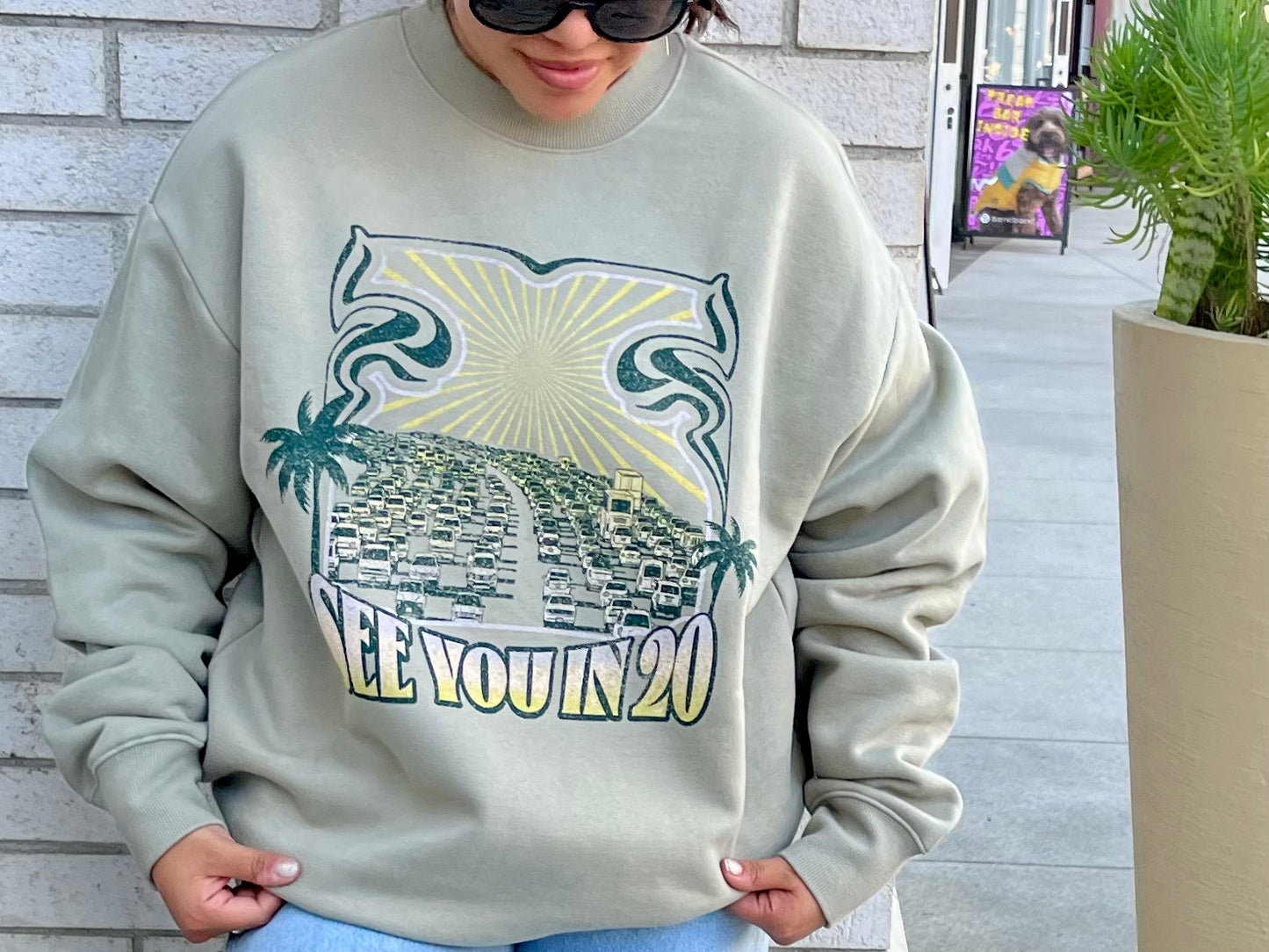 See you in 20 Heavy Pullover