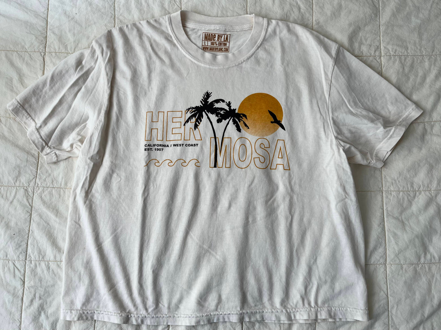 Hermosa Palm Tree Top